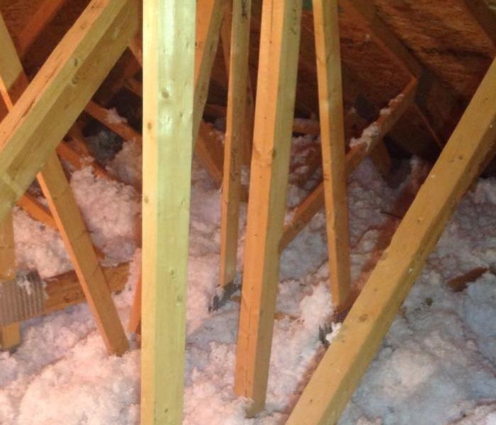 Insulation covers the attic's floor, messy and in disarray from animal interference.