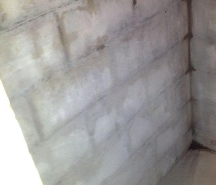 Cellar has been completely gutted and walls covered with a whitish antimicrobial sealant 